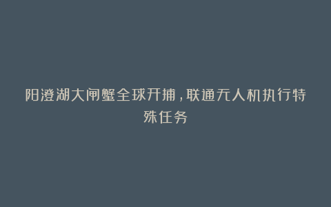 阳澄湖大闸蟹全球开捕,联通无人机执行特殊任务!