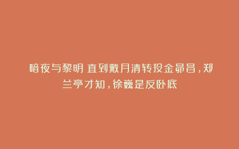《暗夜与黎明》直到戴月清转投金昴昌,郑兰亭才知,徐巍是反卧底