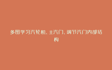 多图学习汽轮机、主汽门、调节汽门内部结构