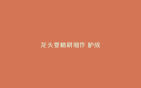 龙头要精耕细作(胪成)