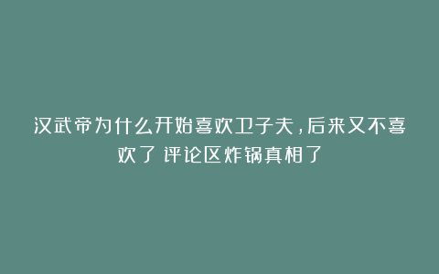 汉武帝为什么开始喜欢卫子夫，后来又不喜欢了？评论区炸锅真相了