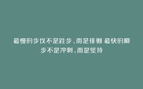 最慢的步伐不是跬步，而是徘徊；最快的脚步不是冲刺，而是坚持