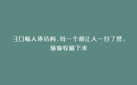 30幅人体结构,每一个都让人一目了然,偷偷收藏下来