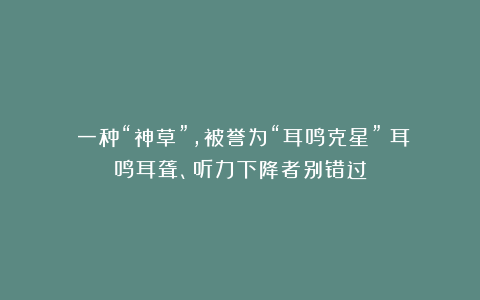 一种“神草”,被誉为“耳鸣克星”!耳鸣耳聋、听力下降者别错过