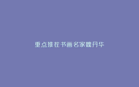 重点推荐书画名家魏丹华