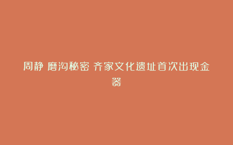 周静：磨沟秘密：齐家文化遗址首次出现金器