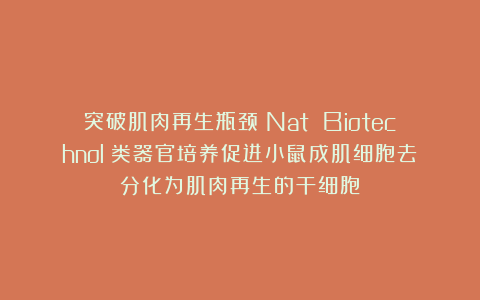 突破肌肉再生瓶颈!Nat Biotechnol:类器官培养促进小鼠成肌细胞去分化为肌肉再生的干细胞