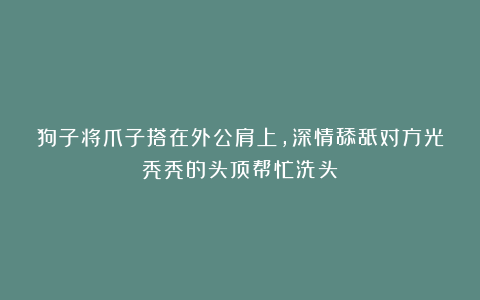 狗子将爪子搭在外公肩上,深情舔舐对方光秃秃的头顶帮忙洗头