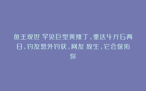 鱼王现世?罕见巨型黄辣丁,重达4斤6两8,钓友意外钓获,网友:放生,它会保佑你