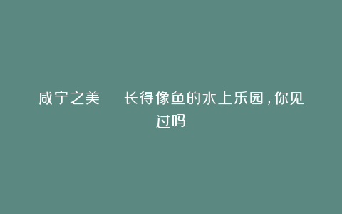 咸宁之美 | 长得像鱼的水上乐园，你见过吗？