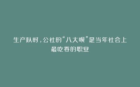 生产队时,公社的“八大员”是当年社会上最吃香的职业