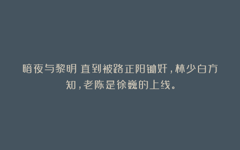 暗夜与黎明:直到被路正阳锄奸,林少白方知,老陈是徐巍的上线。