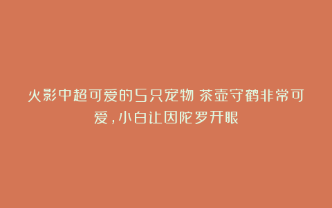 火影中超可爱的5只宠物:茶壶守鹤非常可爱,小白让因陀罗开眼