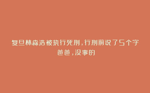 复旦林森浩被执行死刑,行刑前说了5个字:爸爸,没事的