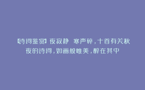 【诗词鉴赏】夜寂静 寒声碎，十首有关秋夜的诗词，如画般唯美，醉在其中！