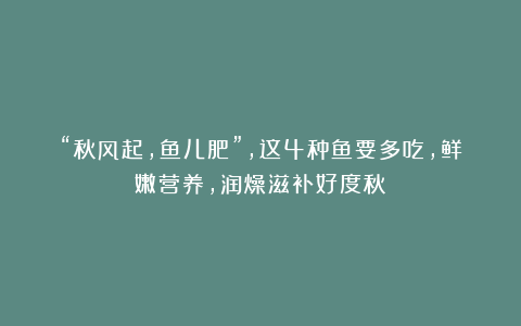 “秋风起,鱼儿肥”,这4种鱼要多吃,鲜嫩营养,润燥滋补好度秋