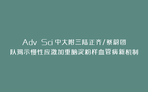 Adv Sci︱中大附三陆正齐/蔡蔚团队揭示慢性应激加重脑淀粉样血管病新机制