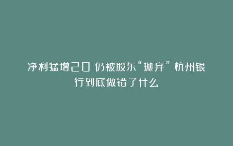 净利猛增20%仍被股东“抛弃”!杭州银行到底做错了什么?
