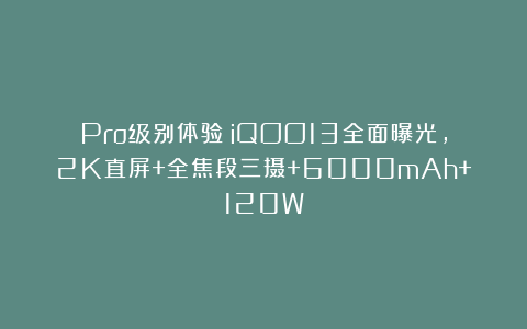 Pro级别体验!iQOO13全面曝光,2K直屏+全焦段三摄+6000mAh+120W