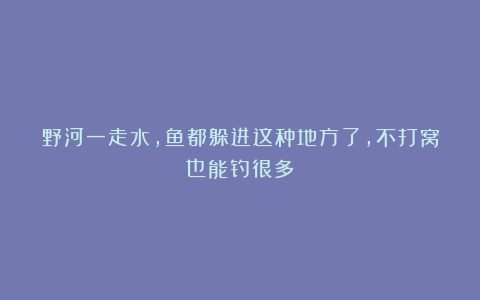 野河一走水,鱼都躲进这种地方了,不打窝也能钓很多
