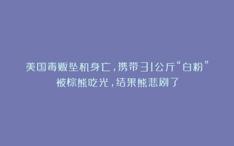 美国毒贩坠机身亡，携带31公斤“白粉”被棕熊吃光，结果熊悲剧了