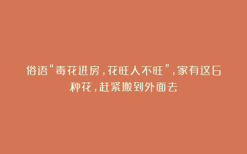 俗语“毒花进房,花旺人不旺”,家有这6种花,赶紧搬到外面去