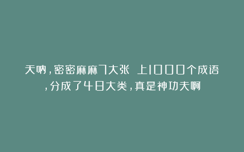 天呐，密密麻麻7大张 上1000个成语，分成了48大类，真是神功夫啊