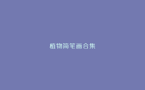 植物简笔画合集