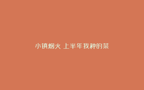 小镇烟火:上半年我种的菜