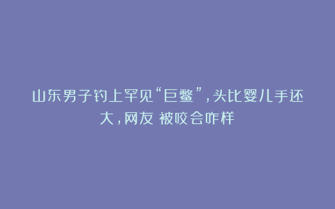 山东男子钓上罕见“巨鳖”，头比婴儿手还大，网友：被咬会咋样？