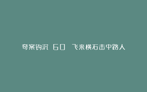 奇案钩沉(60) 飞来横石击中路人