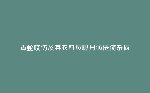 毒蛇咬伤及其农村腰腿月病疮疡杂病