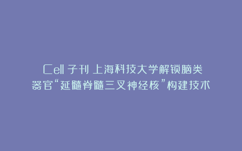 《Cell》子刊:上海科技大学解锁脑类器官“延髓脊髓三叉神经核”构建技术