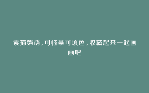 素描鹦鹉，可临摹可填色，收藏起来一起画画吧