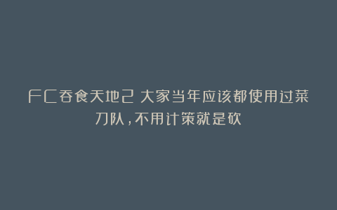 FC吞食天地2:大家当年应该都使用过菜刀队,不用计策就是砍!