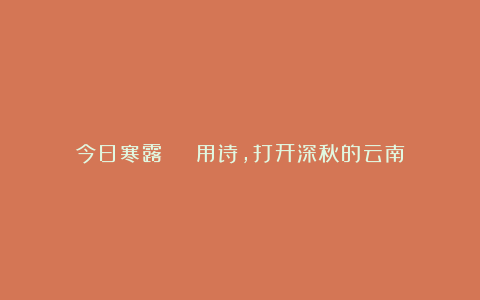 今日寒露 | 用诗，打开深秋的云南