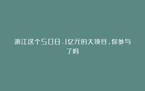 浙江这个508.1亿元的大项目,你参与了吗?