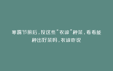 寒露节前后,按这些“农谚”种菜,看看能种出好菜吗,农谚咋说?