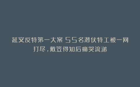 延安反特第一大案:55名潜伏特工被一网打尽,戴笠得知后痛哭流涕