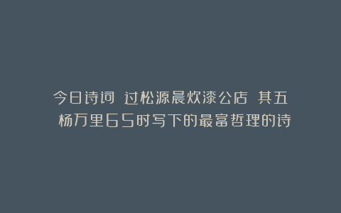 今日诗词《《过松源晨炊漆公店》(其五)》丨杨万里65时写下的最富哲理的诗