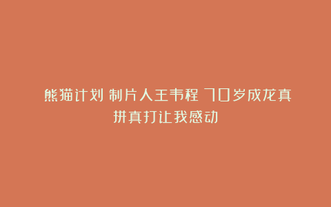 《熊猫计划》制片人王韦程:70岁成龙真拼真打让我感动