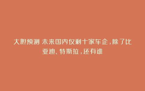 大胆预测!未来国内仅剩十家车企,除了比亚迪、特斯拉,还有谁?