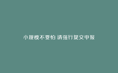 小规模不要怕!请强行提交申报