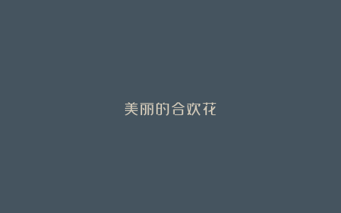 美丽的合欢花