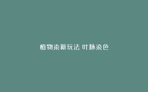 植物染新玩法:叶脉染色