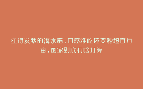 红得发紫的海水稻，口感难吃还要种超百万亩，国家到底有啥打算？
