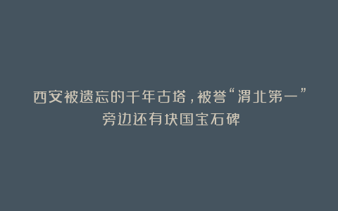 西安被遗忘的千年古塔,被誉“渭北第一”!旁边还有块国宝石碑