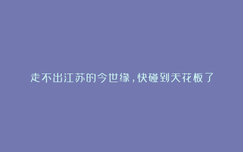 走不出江苏的今世缘,快碰到天花板了