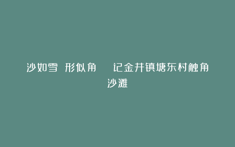 沙如雪 形似角 | 记金井镇塘东村触角沙滩