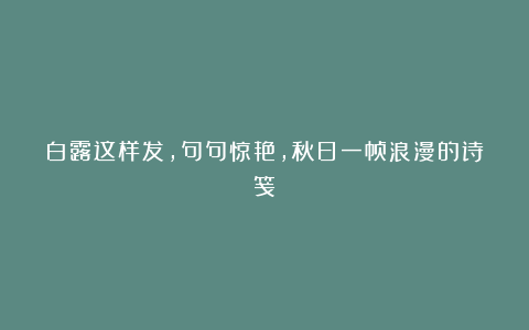白露这样发,句句惊艳,秋日一帧浪漫的诗笺